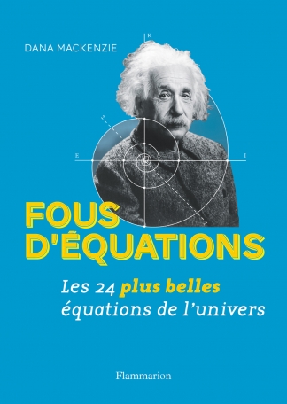 fou d'équations