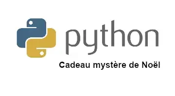 cadeau mystère noël